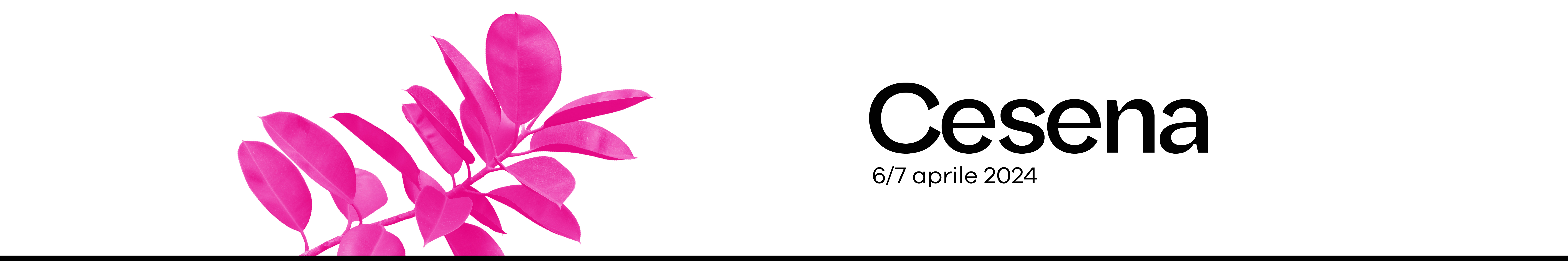Cesena, 6/7 aprile 2024.