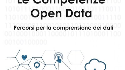 Le competenze open data. Percorsi per la comprensione dei dati