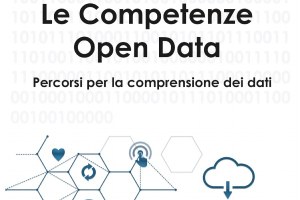 Le competenze open data. Percorsi per la comprensione dei dati