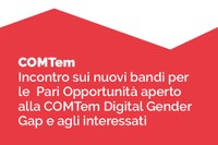 Incontro sui nuovi bandi per le  Pari Opportunità aperto alla  COMTem Digital Gender Gap e agli interessati
