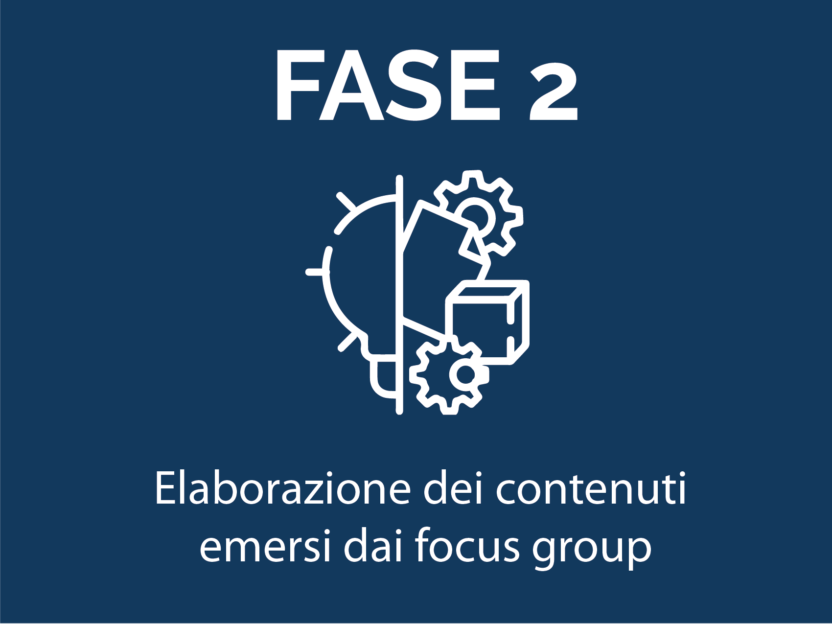 Fase 2 - Elaborazione dei contenuti emersi dai focus group